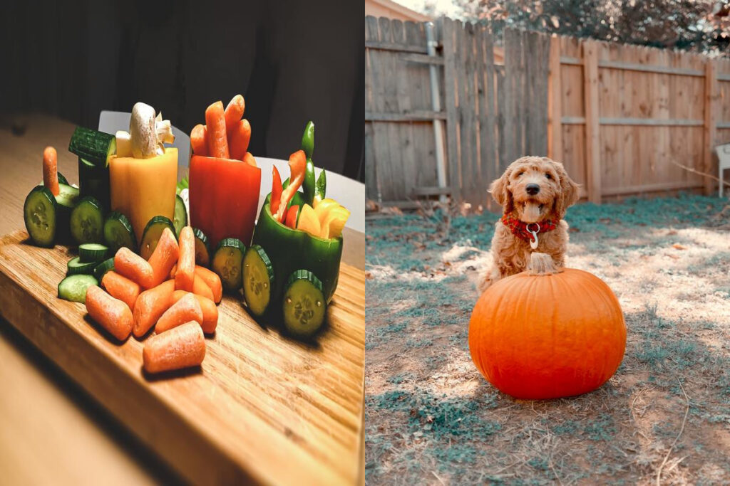 Vegetables for dogs