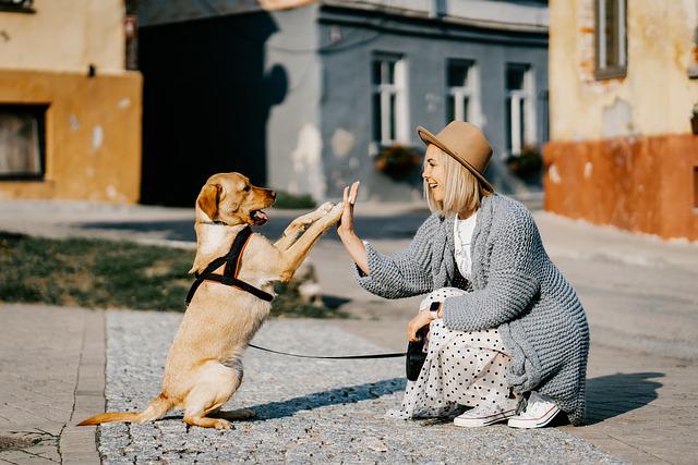 Dog friendship with women