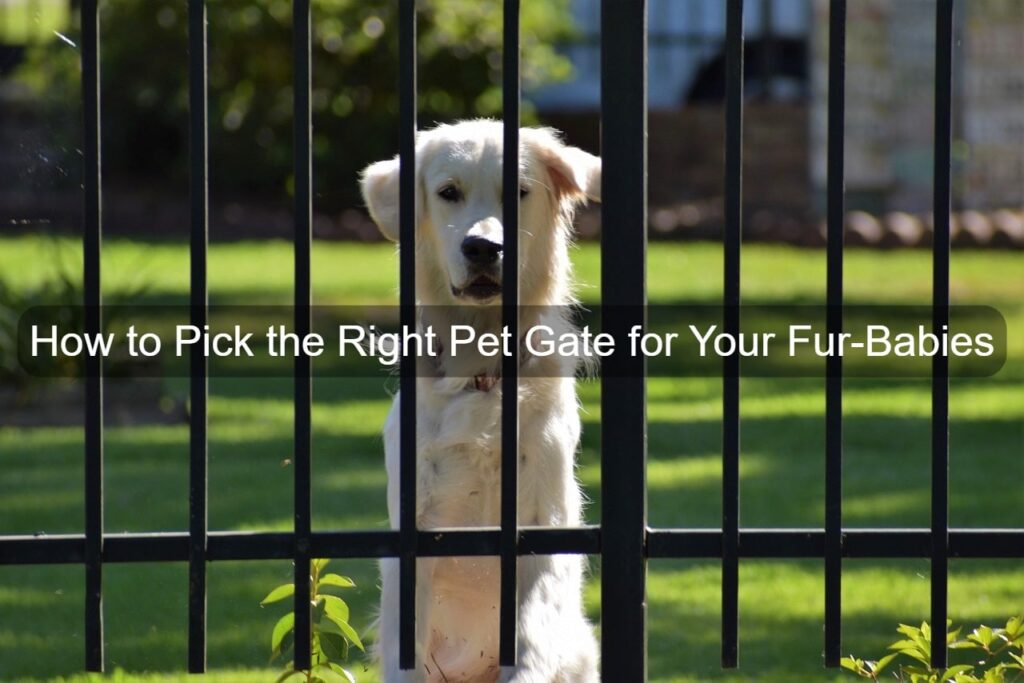 Dog sitting near pet gate