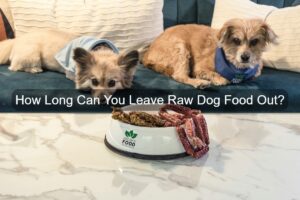dog raw food